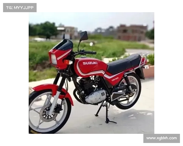 一天带你回顾一台经典老车之铃木王